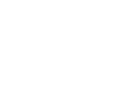 distribuidora-focus